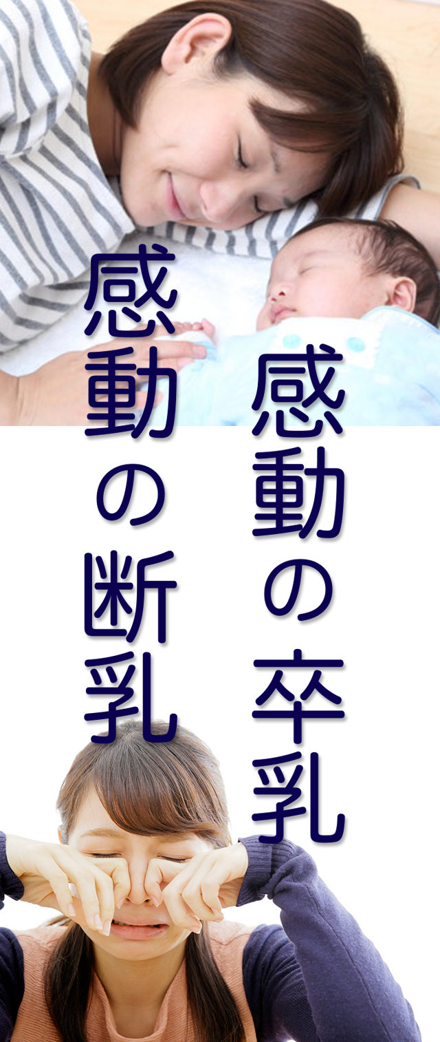 『いつか終わりは来るねん!感動の断乳・卒乳』セミナーのご案内 Dannyu Sotsunyu 00 - 『いつか終わりは来るねん!感動の断乳・卒乳』セミナーのご案内